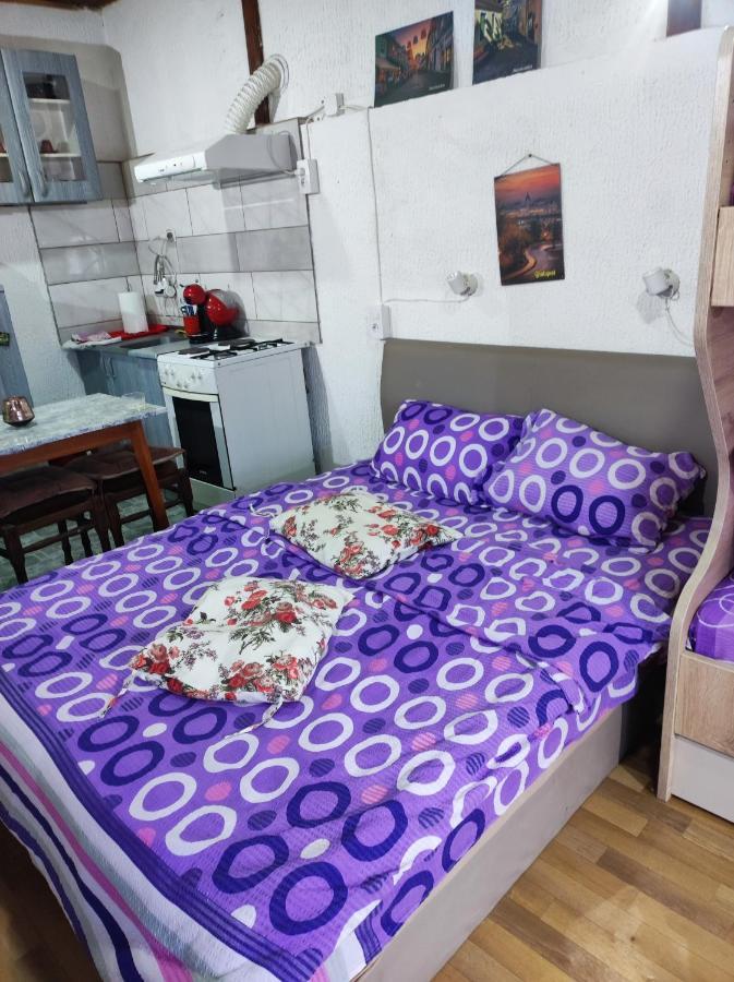 Apartamento Prenociste Indija Hrvic Exterior foto